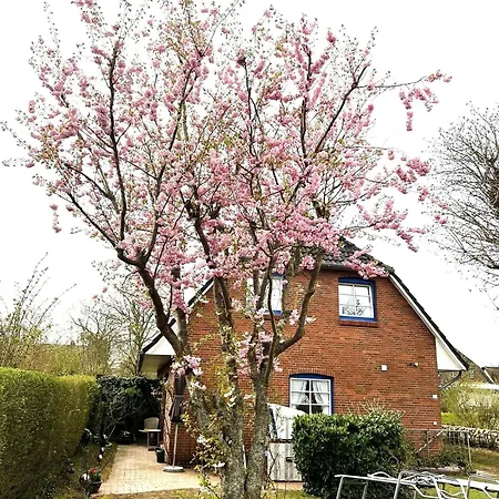Roter Apfel Semesterbostad Boldixum